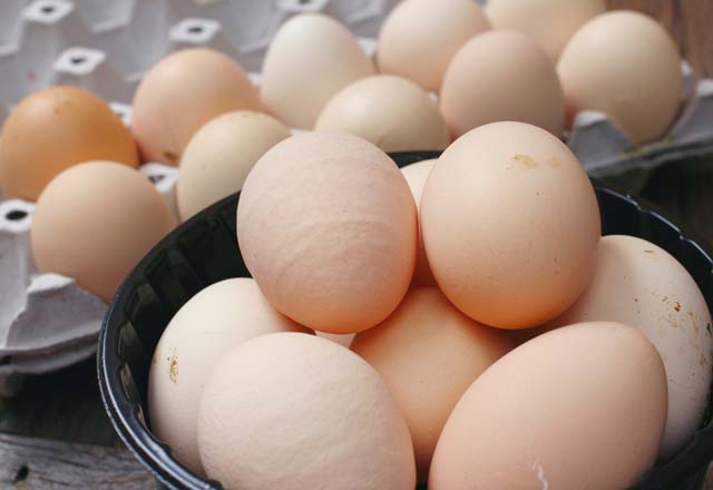 Yumurtalar hakkında ilginç bilgiler
